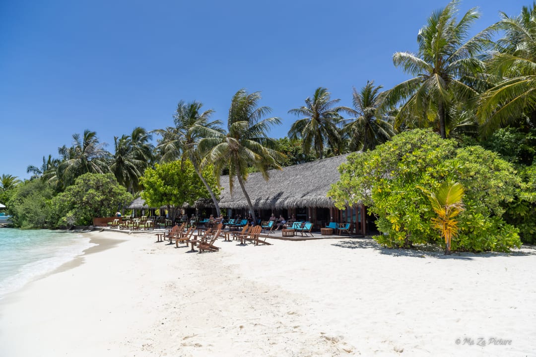 Gastro Summer Island Maldives