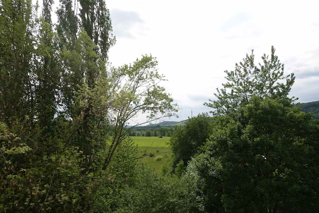 Ausblick Hotel Ullrich
