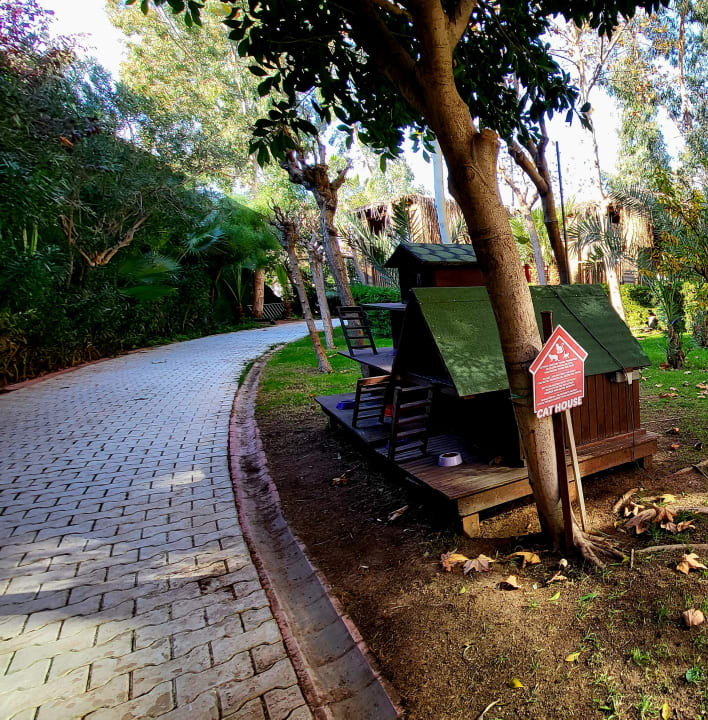 Gartenanlage Hotel Delphin Imperial