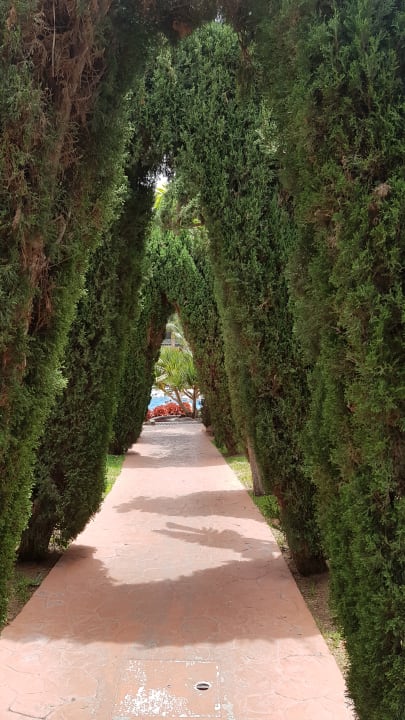 Gartenanlage allsun Hotel Esplendido