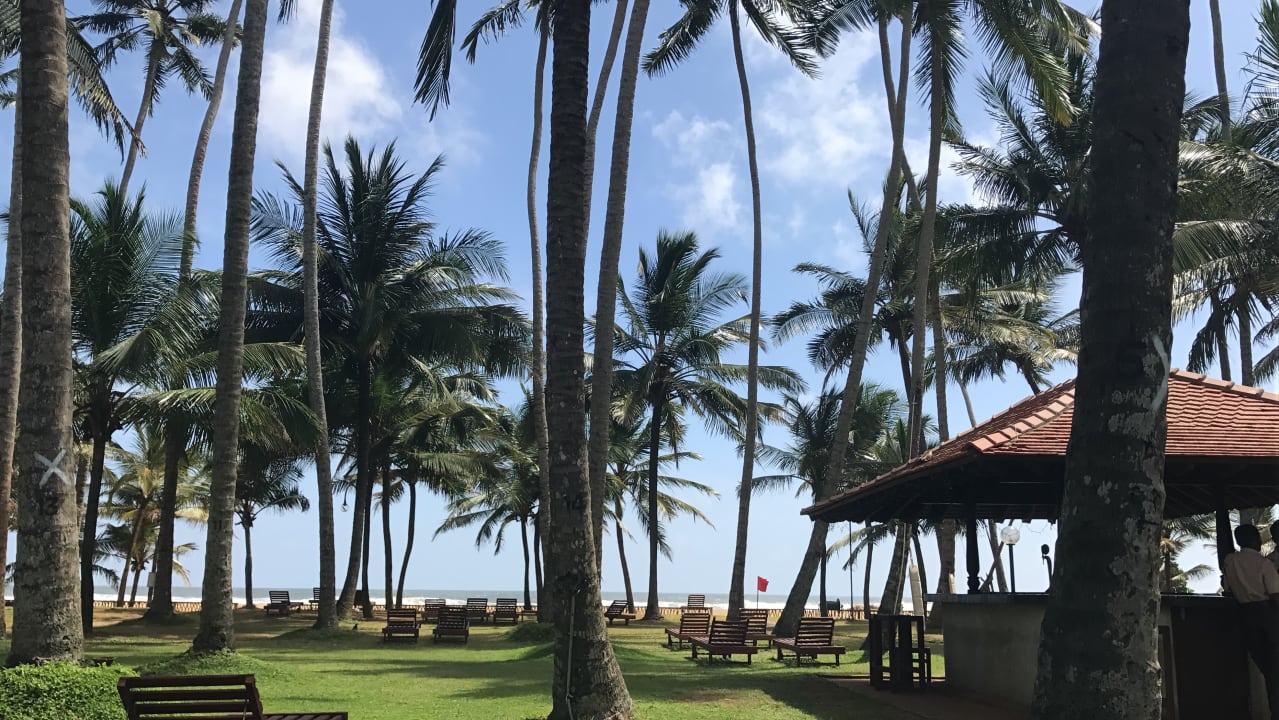 Gartenanlage Mermaid Hotel & Club