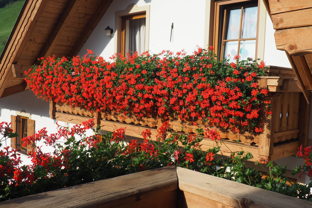 Ausblick Hotel Auhof