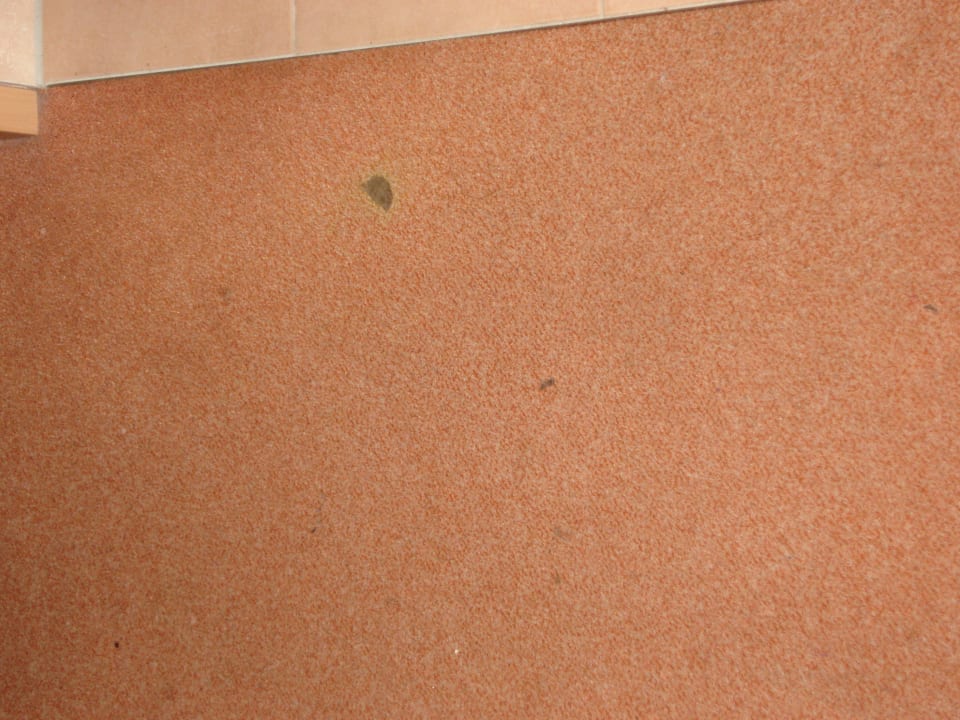 Verschmutzter Teppich vom Apartment Ferienwohnungen Ferienpark Weissenhäuser Strand