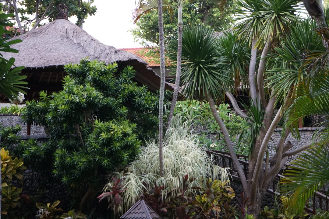 Gartenanlage The Laguna A Luxury Collection Resort & Spa