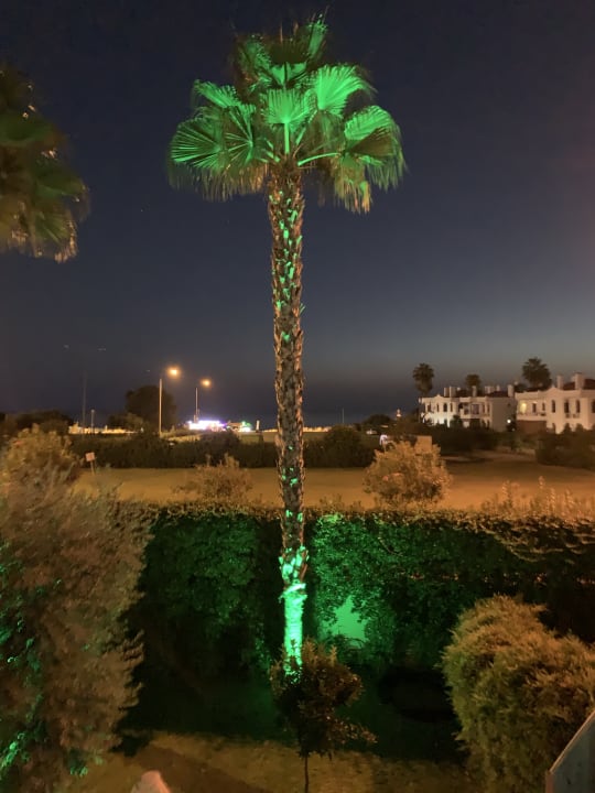 Zimmer TUI BLUE Barut Andız - All Inclusive - Adults Only