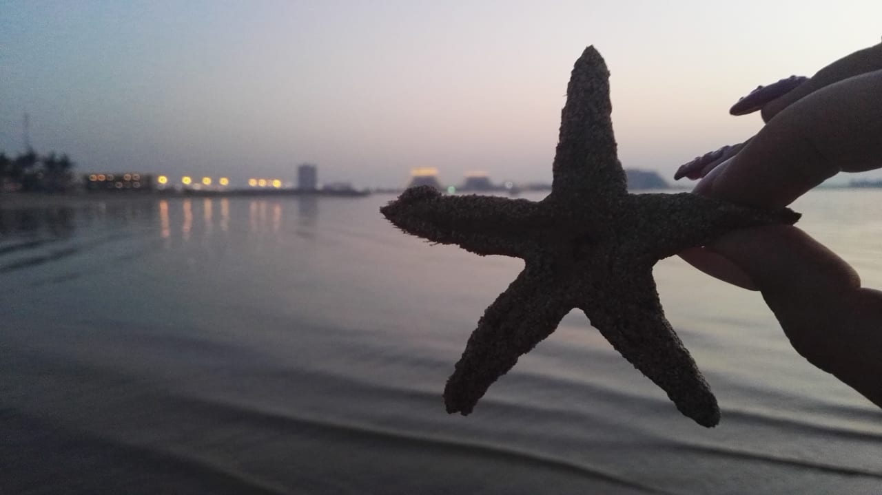 Ausblick BM Beach Resort