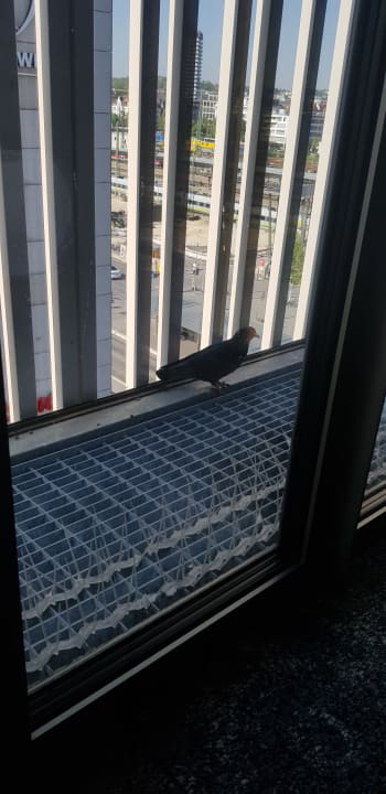 Zimmer me and all hotel Ulm