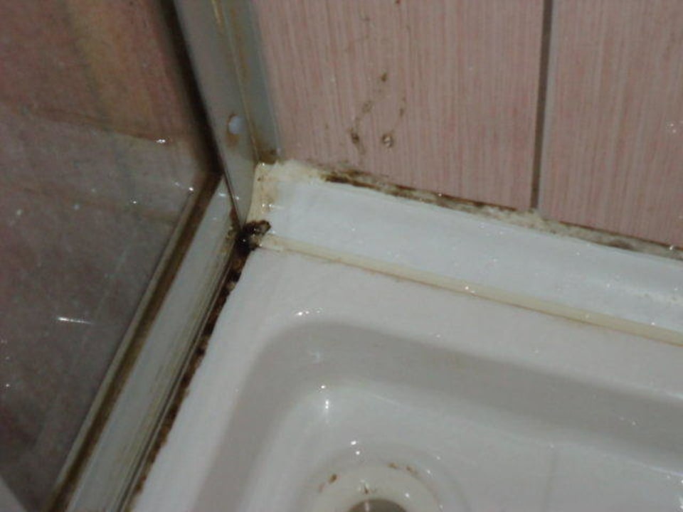 Schimmel Sunrise Beach Side