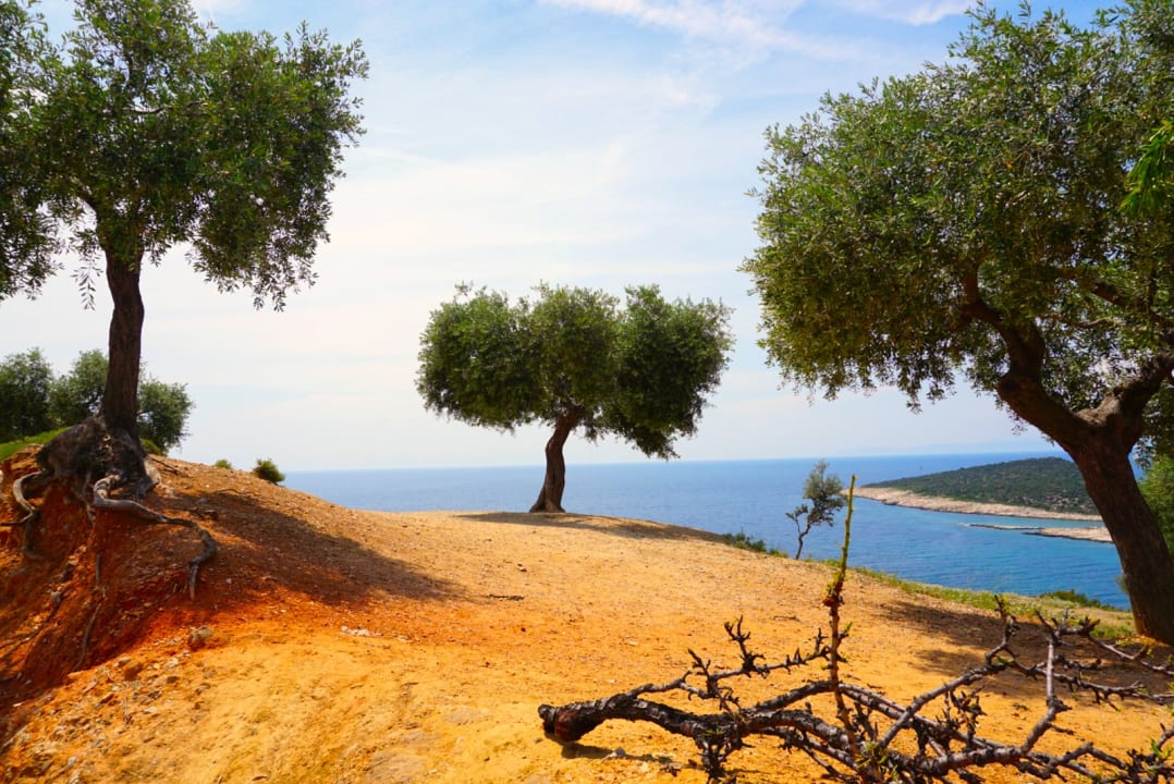 Strand Hotel Ocean Beach