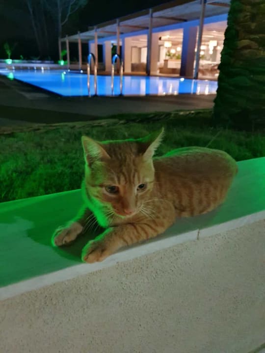 Sonstiges HARPIN Georgioupolis Resort Aquapark & SPA