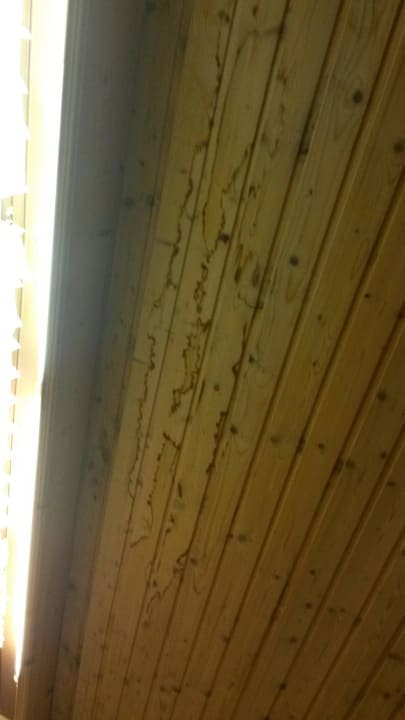 Zimmerdecke Alpenhotel Edelweiss