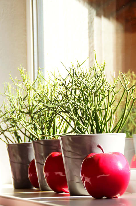 Unser gemütliches Stüberl Hotel Bacher Asitzstubn