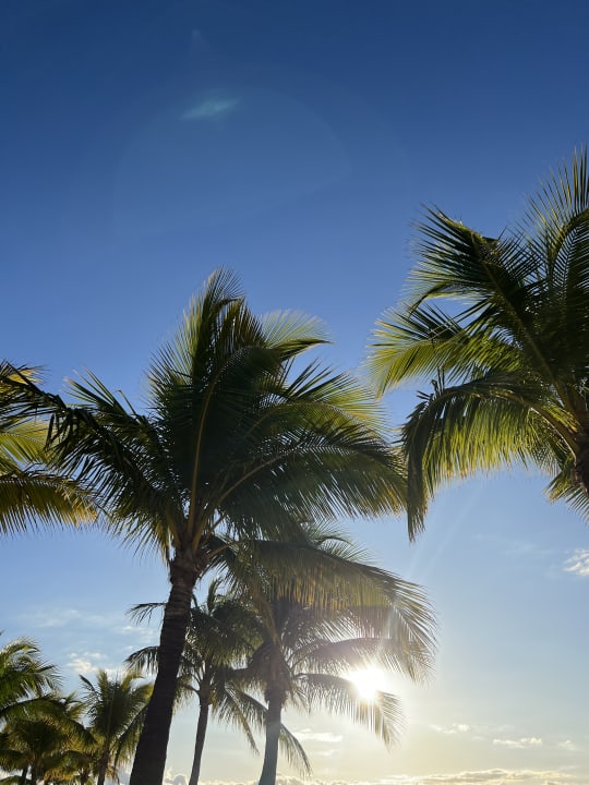 Sonstiges Le Meridien Ile Maurice