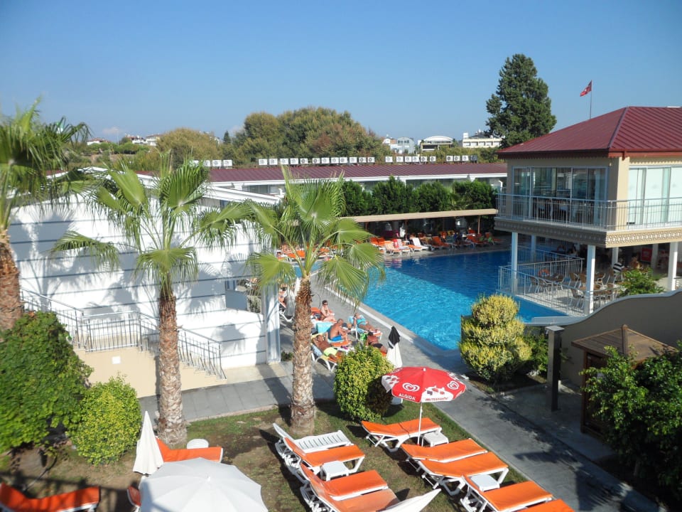 Palmen, grüne Büsche & Sträucher in Poolnähe Sun Club Hotel
