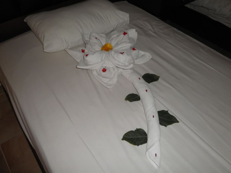 Herrlich Pickalbatros Alf Leila Wa Leila Resort - Neverland Hurghada