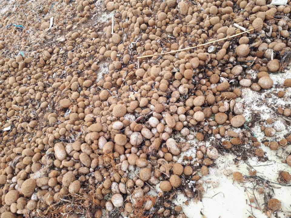 Strand Skanes Serail Aquapark