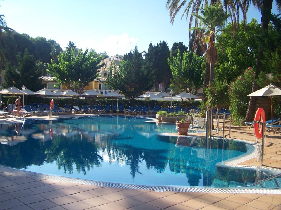 Pool am Morgen Valentin Reina Paguera