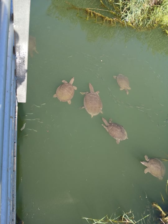 Strand Side Alegria Hotel & Spa - Adults only +16