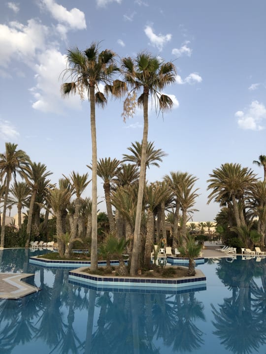 Pool Zita Beach Resort