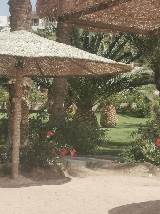 Strand Fort Arabesque Resort, Spa & Villas