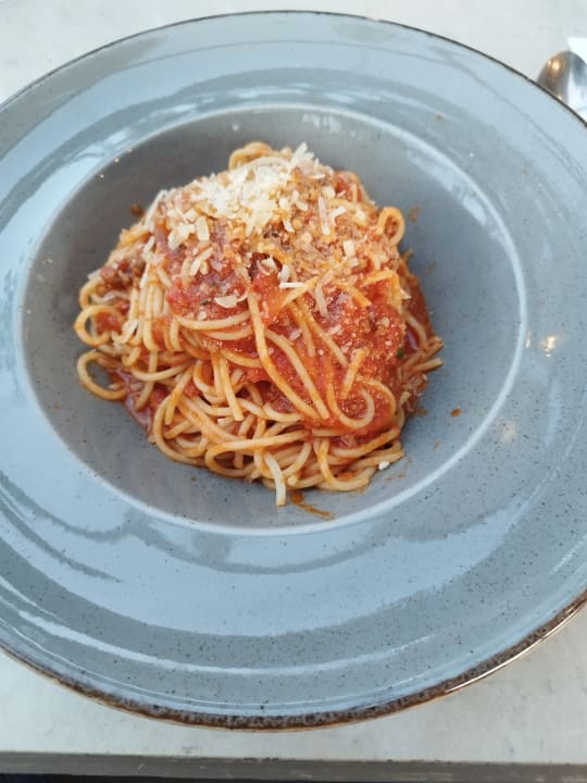 Gastro Acanthus Cennet Barut Collection