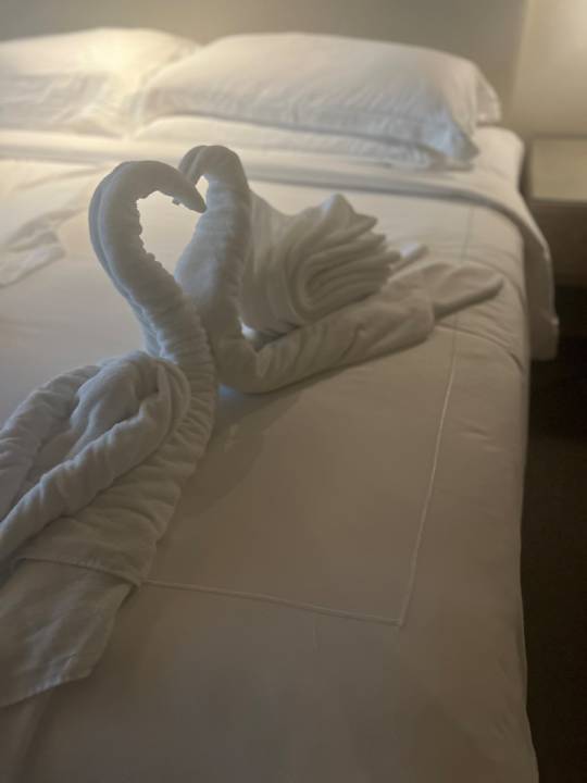 Zimmer Saadiyat Rotana Resort &  Villas