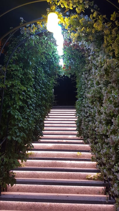 Garten Dream World Palace Hotel