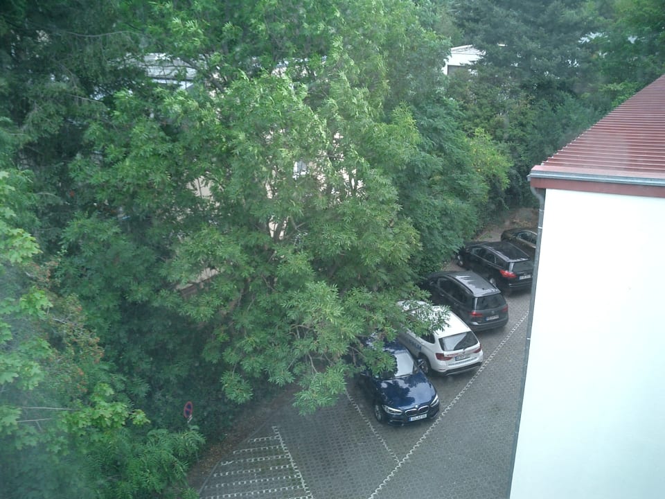 Zimmer BusinessHotel Schramberg