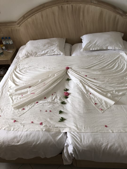 Zimmer One Resort Aqua Park & Spa