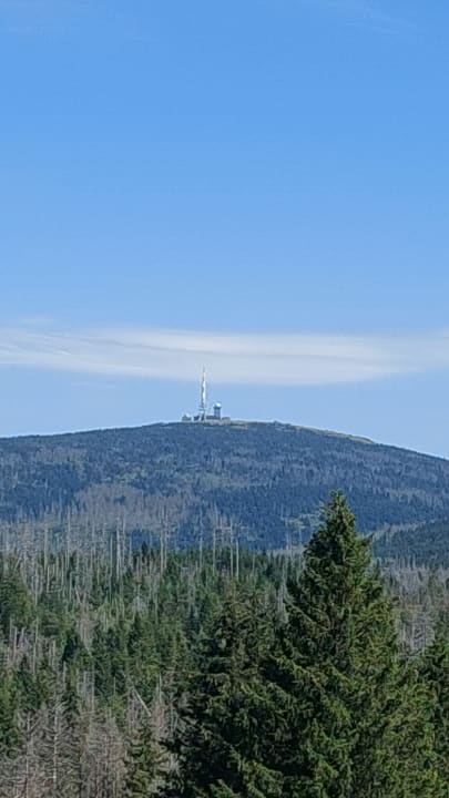 Ausblick Torfhaus Harzresort