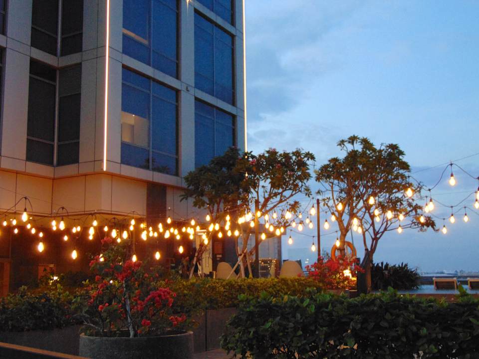 Gartenanlage Hilton Garden Inn Jakarta Taman Palem