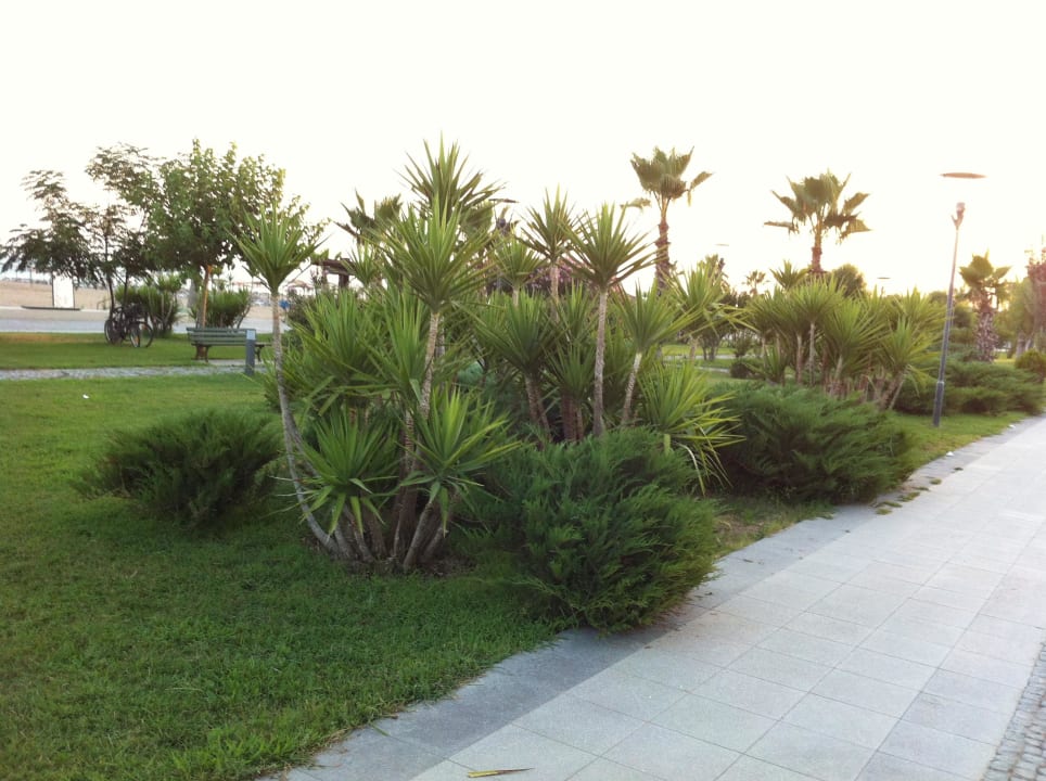 Strandpromenade Sentido Trendy Verbena Beach