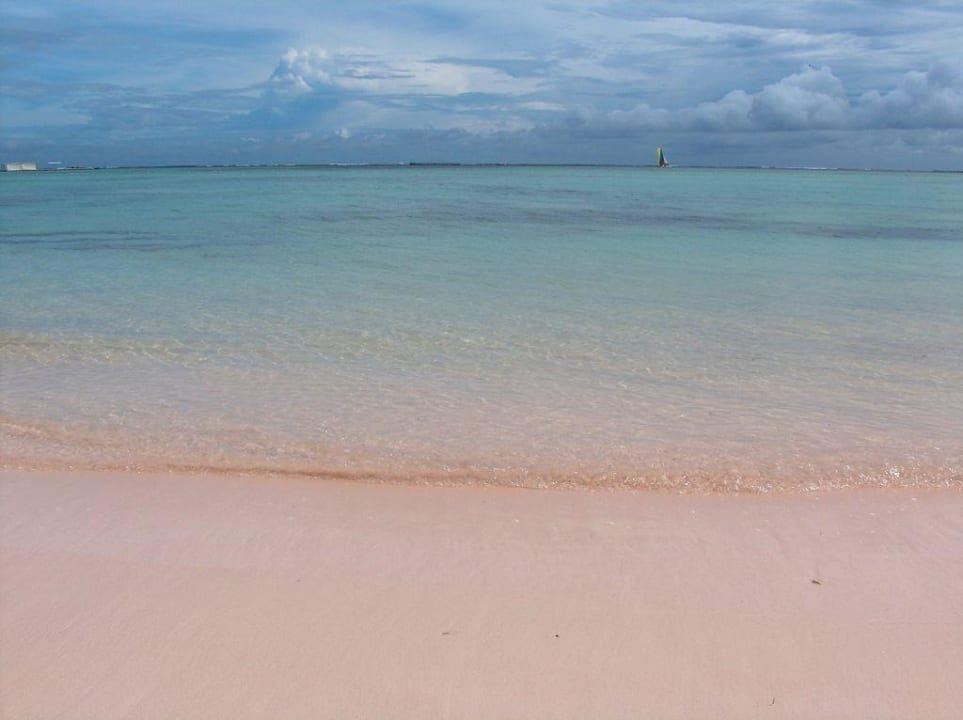 Traumstrand Barcelo Bavaro Beach - Adults only