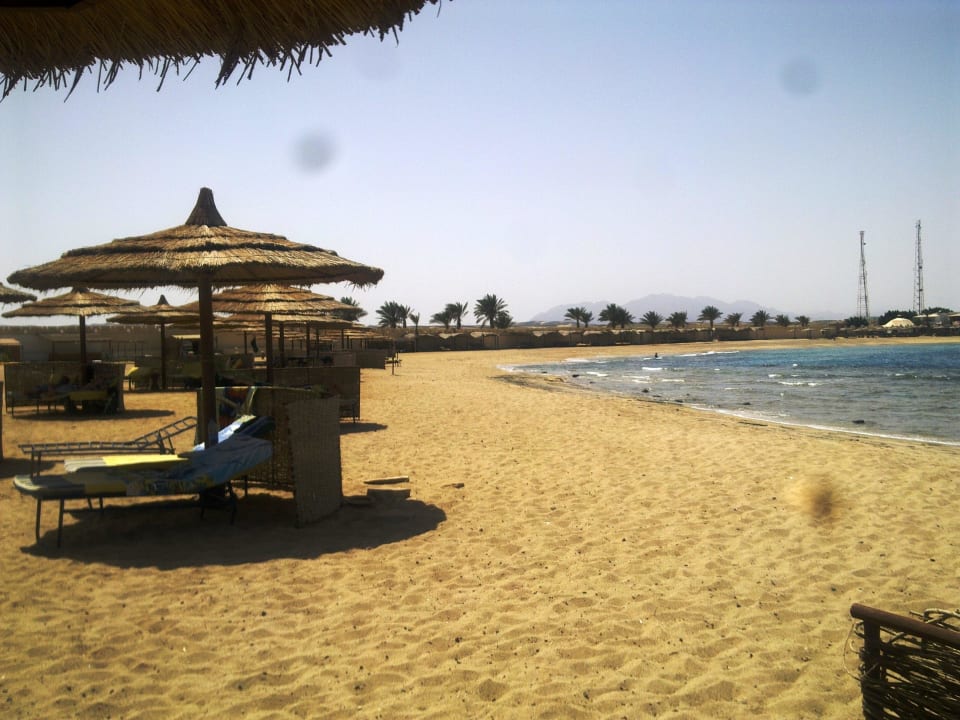 Strandliege Coral Sun Beach