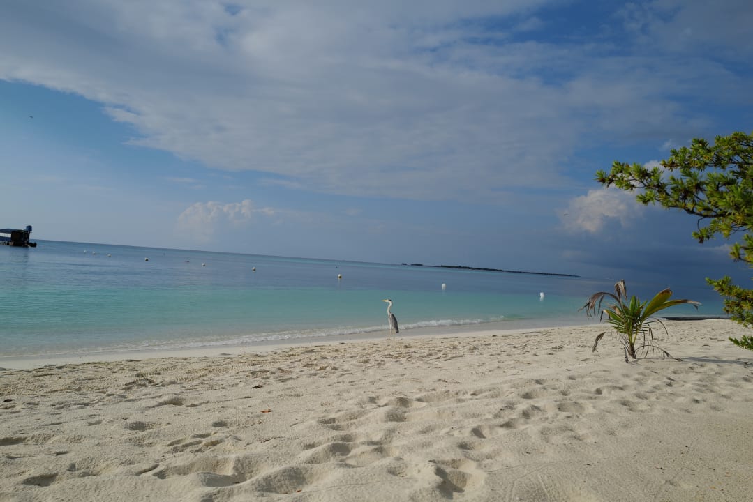 Strand Kuredu Island Resort & Spa