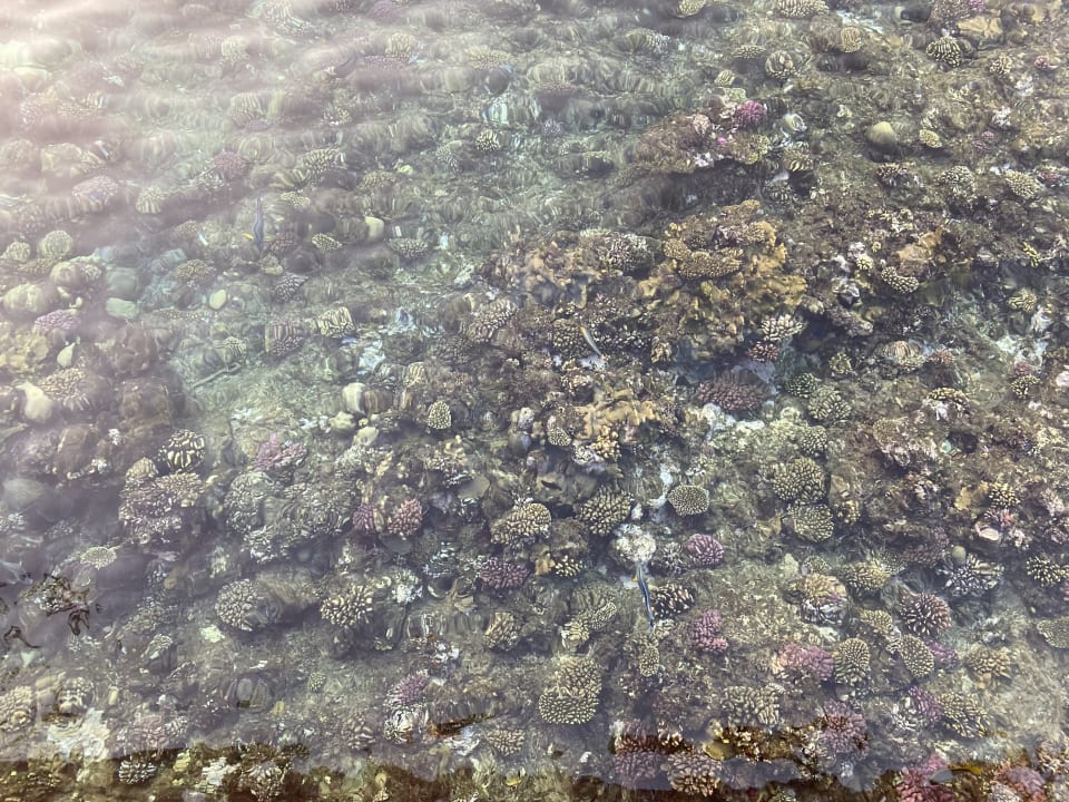 Strand Casa Mare Resort