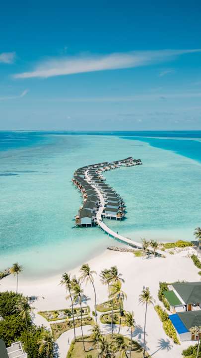 Zimmer Joy Island