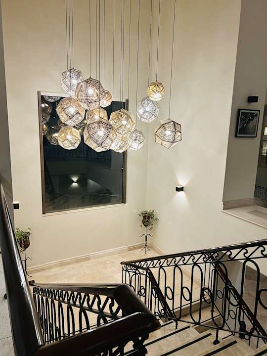 Zimmer PALOMA Perissia