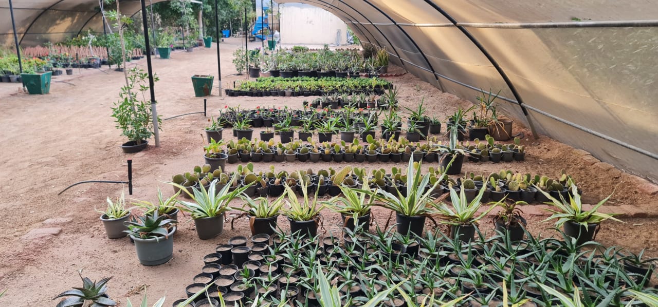 Gartenanlage ROBINSON SOMA BAY