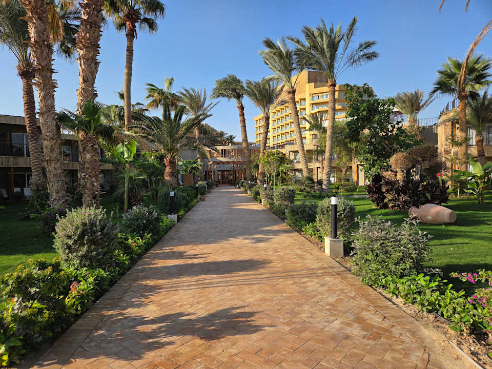 Gartenanlage ananea Hurghada