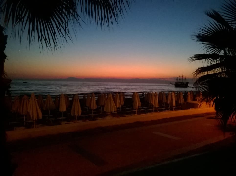 Strand Acanthus Cennet Barut Collection