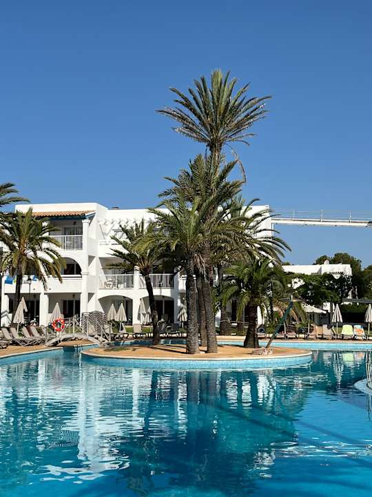 Pool Calimera Fido Gardens