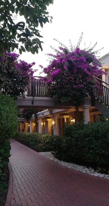 Garten TUI Magic Life Belek