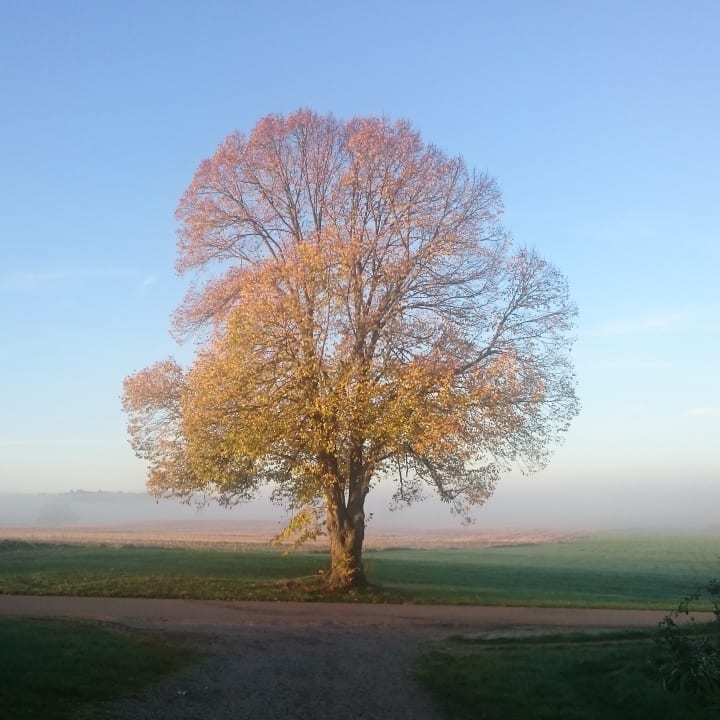Sonstiges Fröschlhof