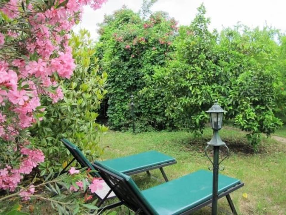 Gartenanlage vom Hotel Hotel Anatolia Resort