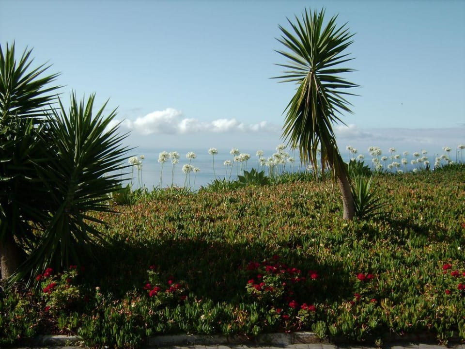 Blick vom Parkplatz des Hotels Richtung Meer  Hotel Quinta Alegre