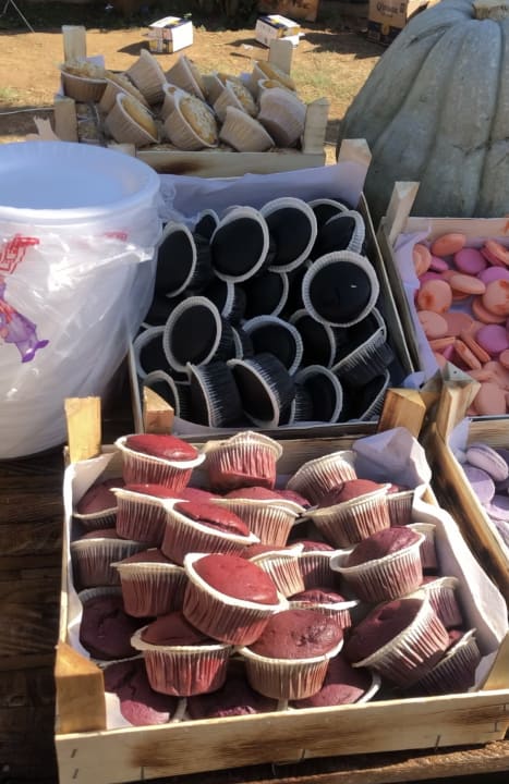 Gastro Oz Hotels Incekum Beach