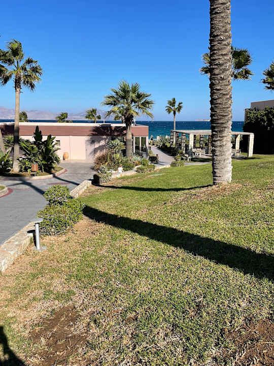 Gartenanlage Hotel Horizon Beach Resort