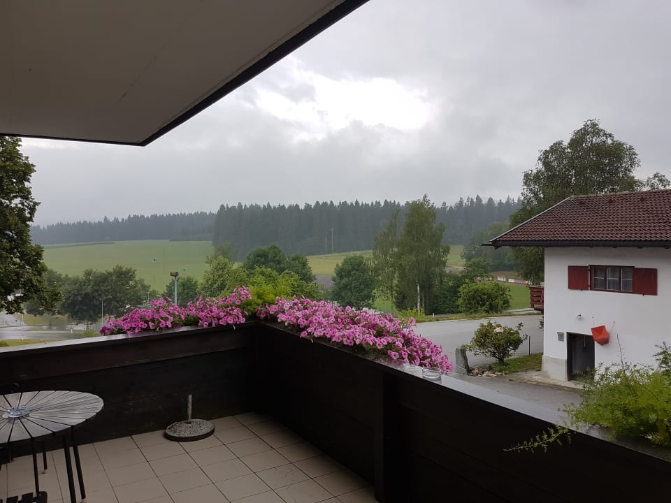 Ausblick Gasthof-Hotel Baumgarten
