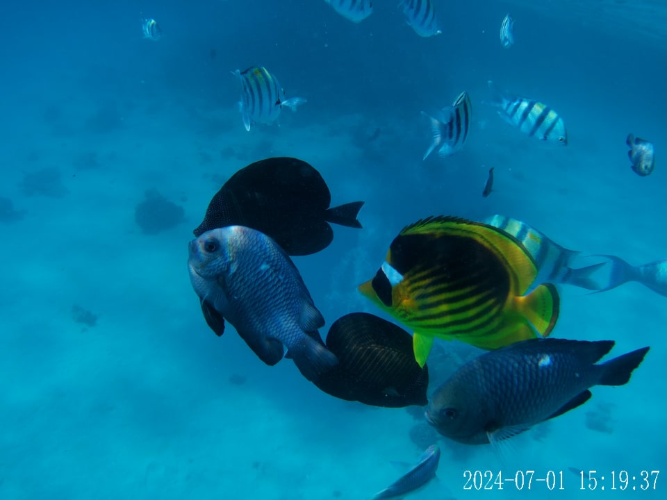 Sport & Freizeit Cleopatra Luxury Resort Makadi Bay